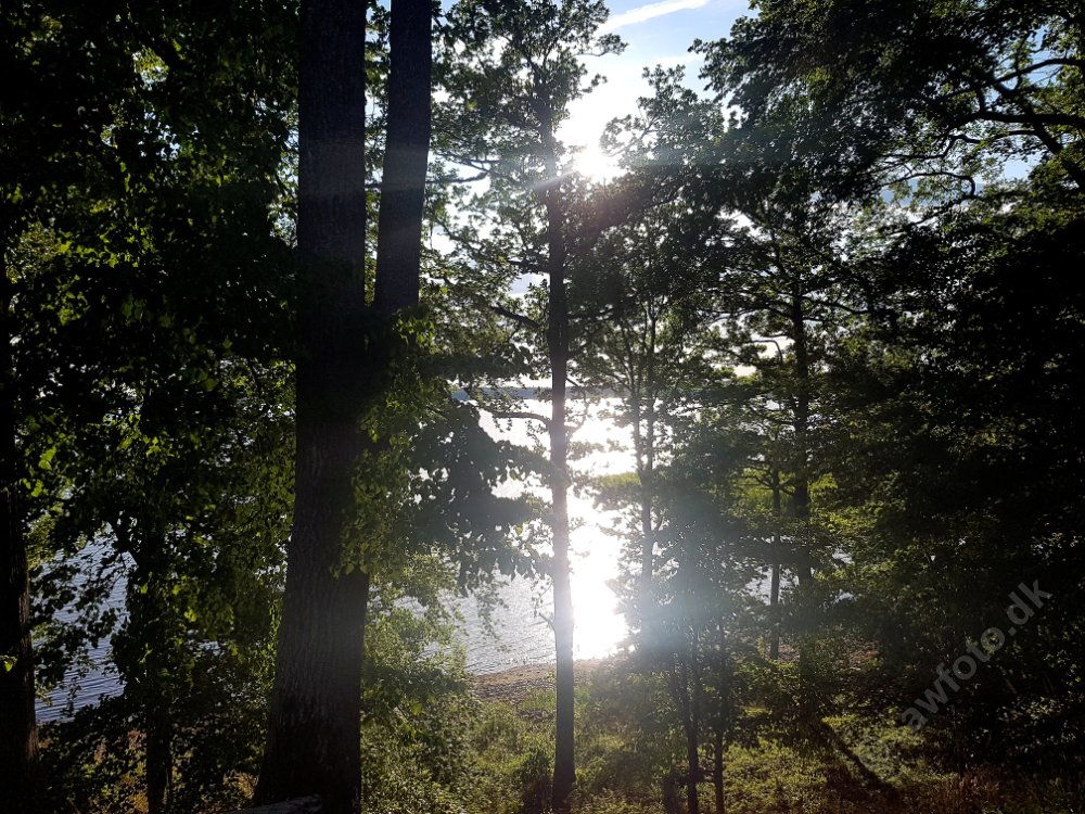 20180627_193651.jpg