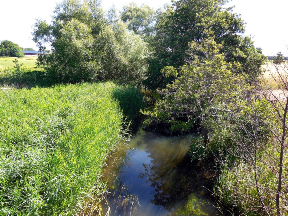 DSCN3081.JPG