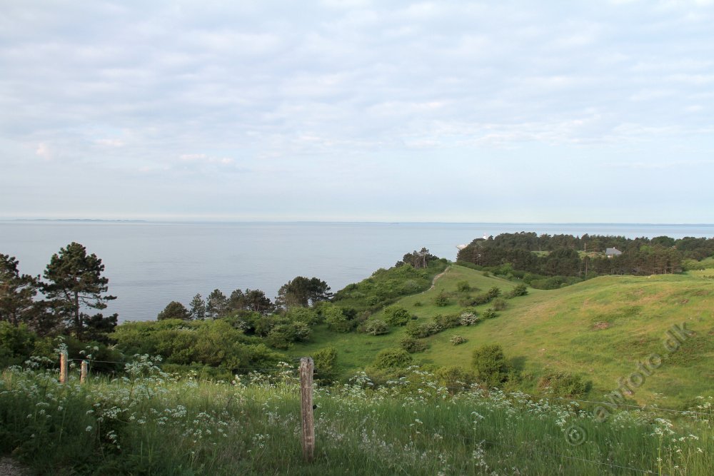 IMG_1122.JPG