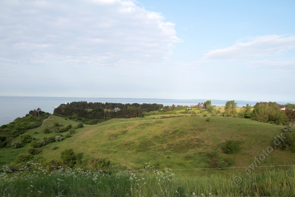 IMG_1123.JPG