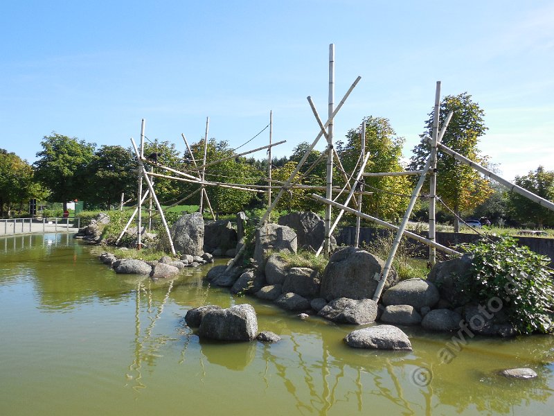 DSCN2409.JPG
