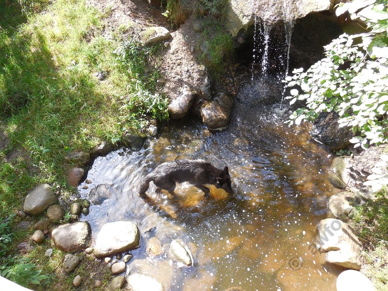 DSCN2416.JPG