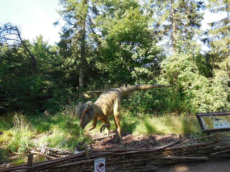 DSCN2431.JPG