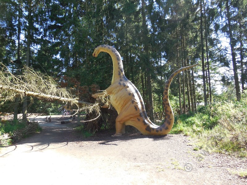 DSCN2435.JPG
