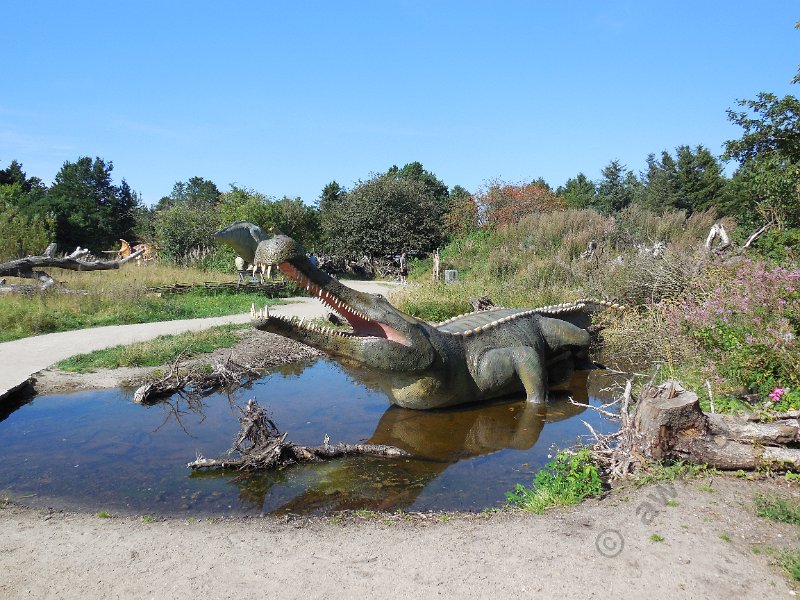 DSCN2459.JPG