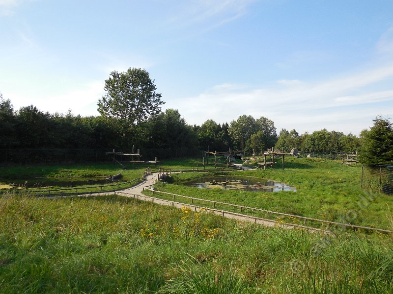 DSCN2485.JPG