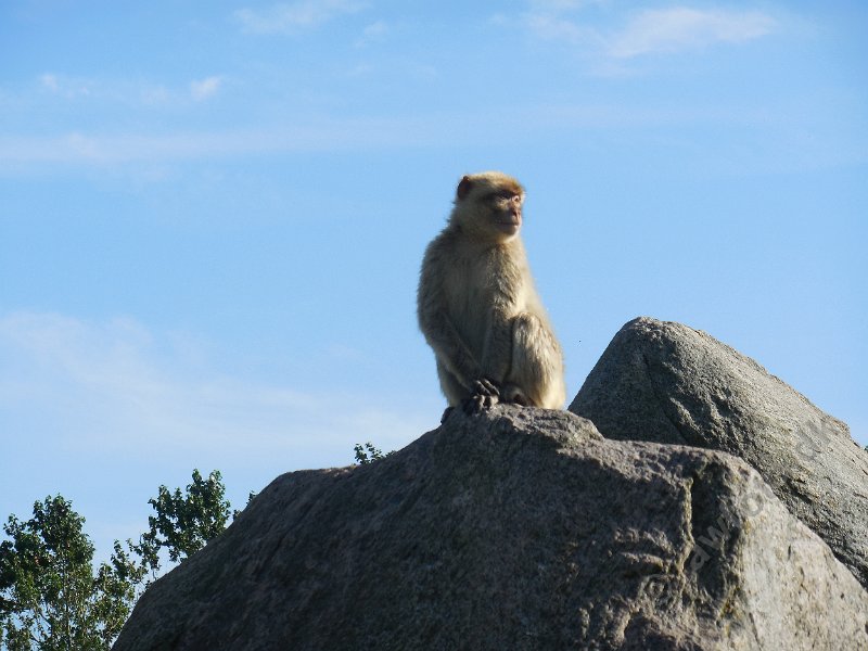 DSCN2495.JPG
