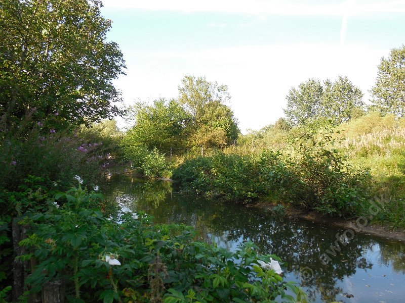 DSCN2509.JPG