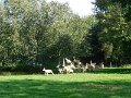DSCN2421