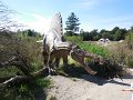 DSCN2461