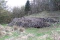 IMG_2759