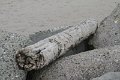 IMG_2830