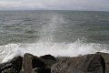 IMG_2933