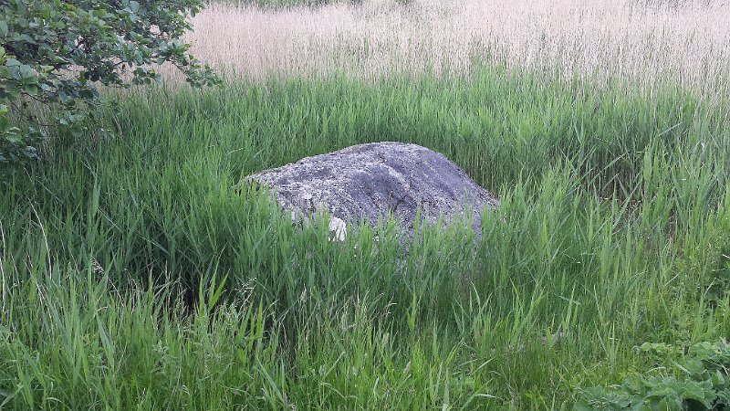 200613.jpg - 200613.jpg