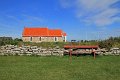 IMG_4008