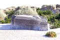 IMG_4025