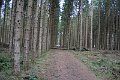 IMG_6801