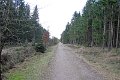 IMG_6804