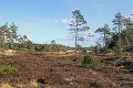 IMG_6818