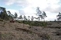 IMG_6826