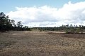IMG_6829