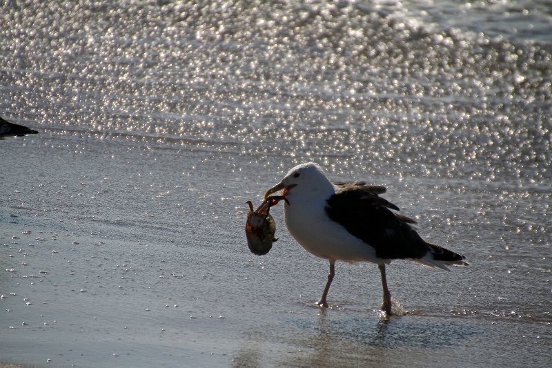 IMG_8558.JPG