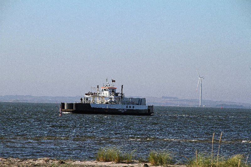 IMG_8606.JPG
