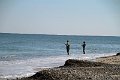 IMG_8459