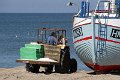 IMG_8506