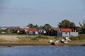 IMG_8587