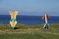 IMG_8672
