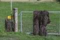 IMG_8676