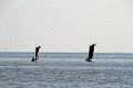 IMG_8734
