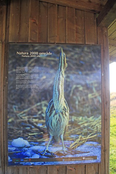 IMG_3849.JPG