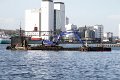 IMG_2231