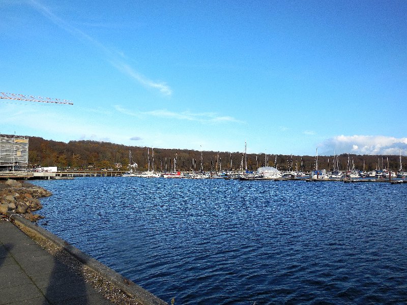 DSCN0121.JPG