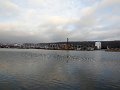 DSCN0448