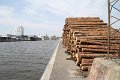IMG_7566