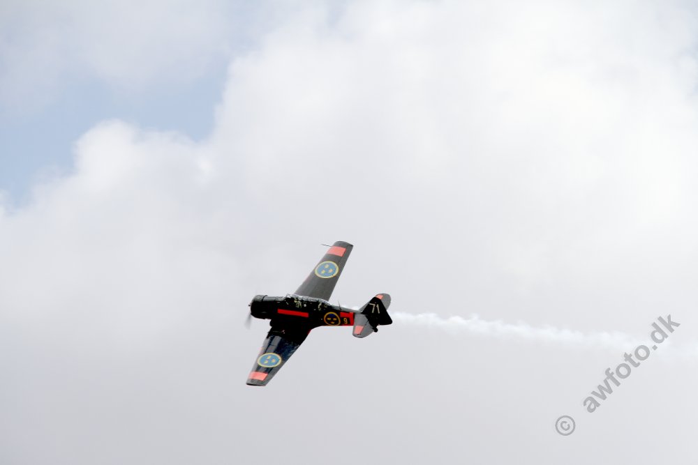 IMG_4542.JPG