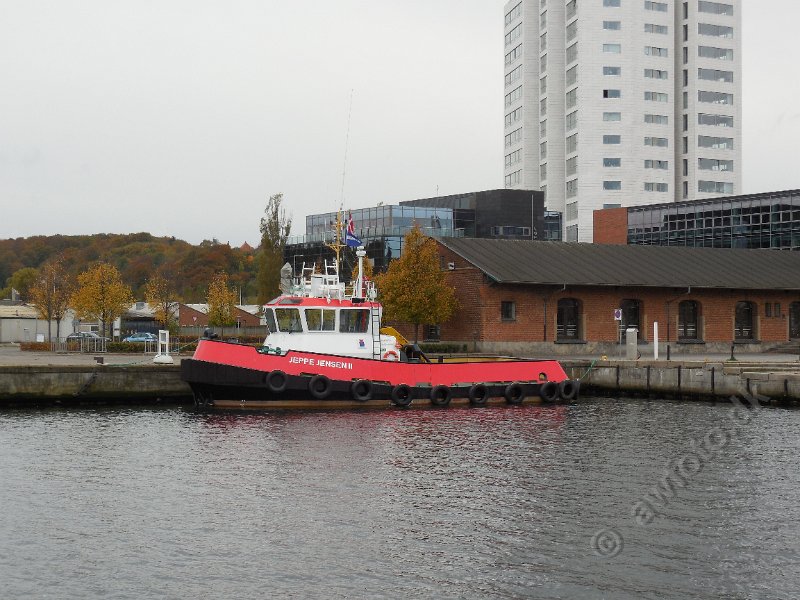 DSCN0012.JPG