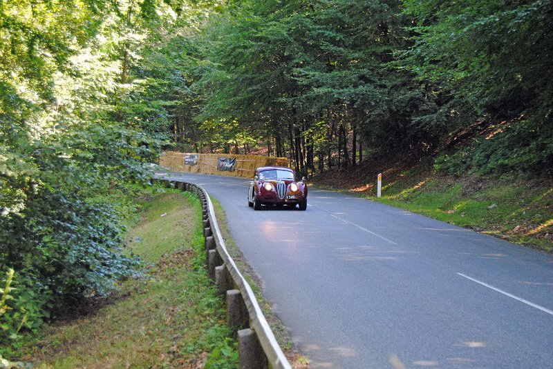 DSC_0223.JPG