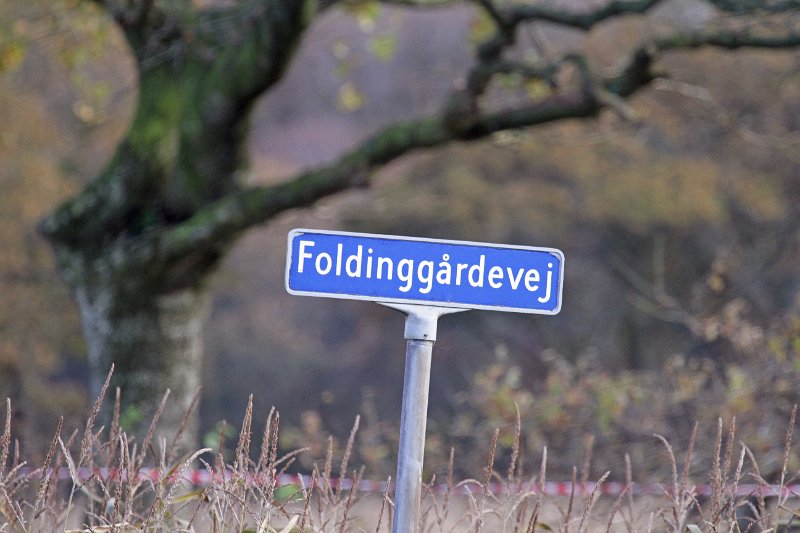 IMG_9163.JPG