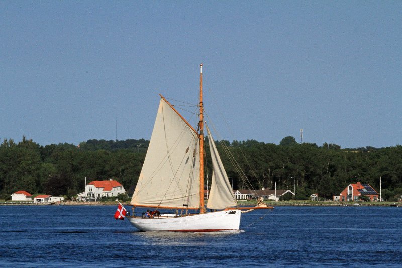 IMG_7607.JPG